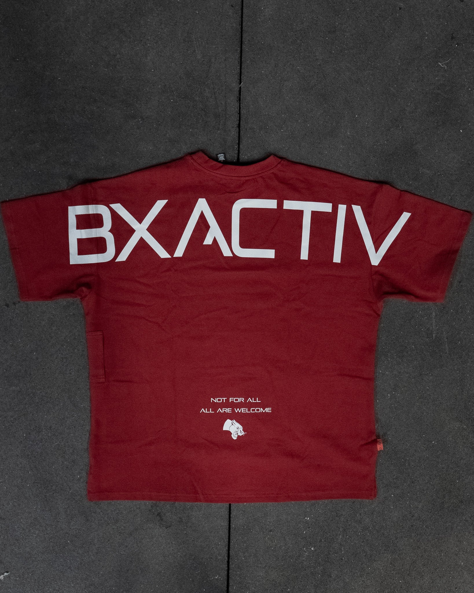 Big Logo Oversize Tee (5 Color Options)